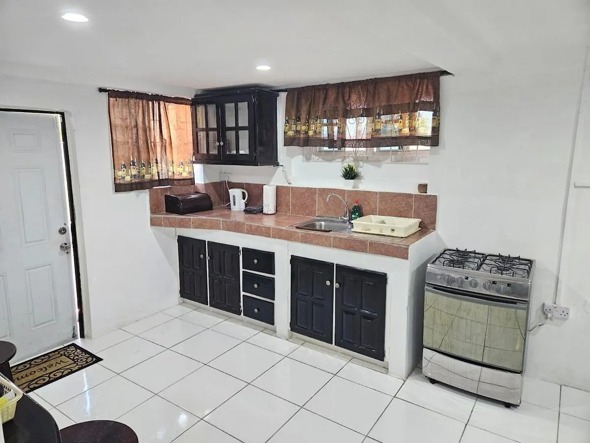 Ladville Apartment Near Kingstown #1
