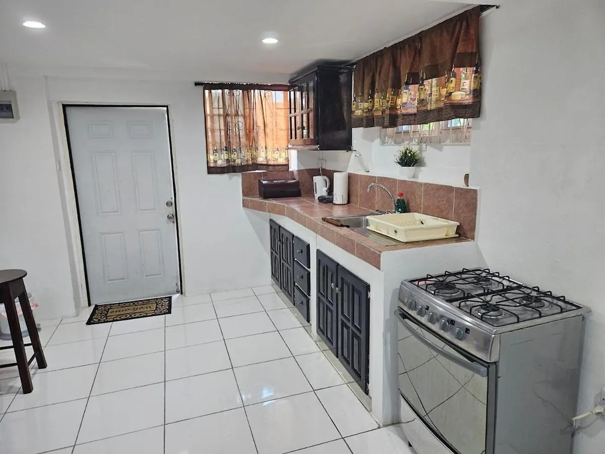 Ladville Apartment Near Kingstown #1