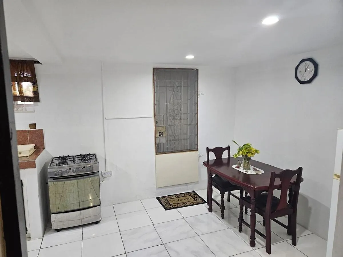 Ladville Apartment Near Kingstown #1